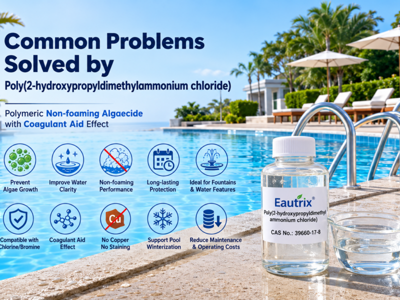 Infographic showing the common problems solved by Poly(2-hydroxypropyldimethylammonium chloride), including algae growth, cloudy water, non-foaming performance, coagulant aid effect, fountain maintenance, winter pool protection, chlorine compatibility, and metal-free algae control for swimming pools